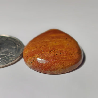 Yellow Ocean Jasper