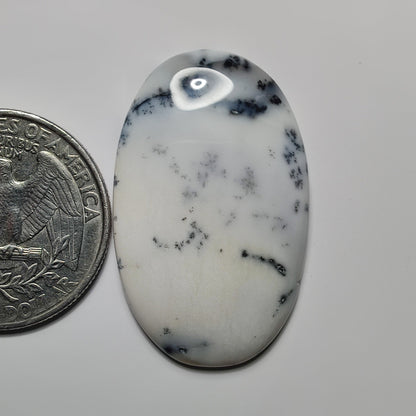 Dendritic Agate