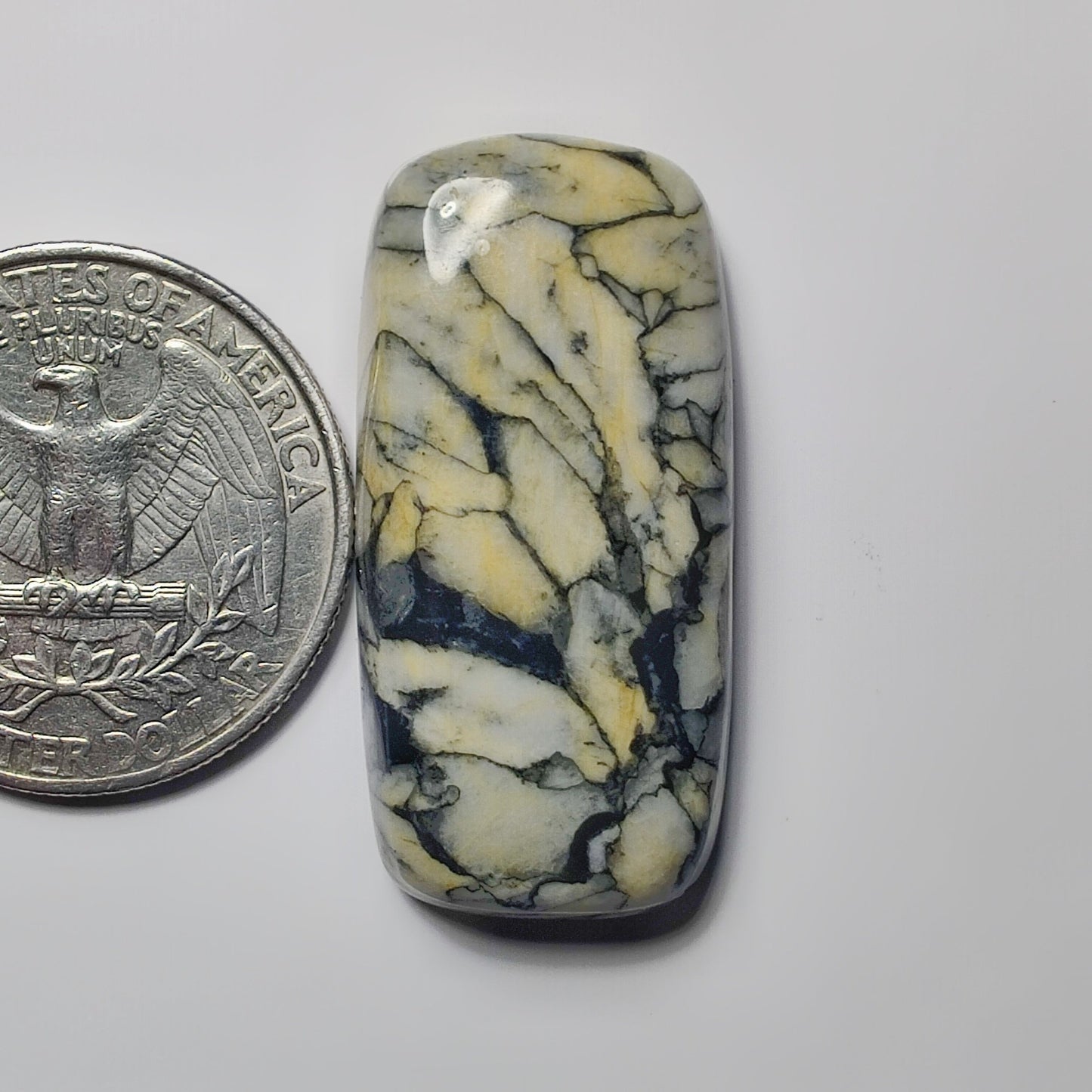 Pinolith Jasper