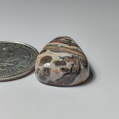 Leopard Skin Jasper