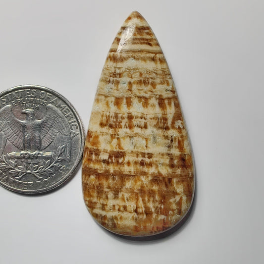 Brown Jasper