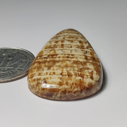 Brown Jasper