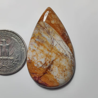 Petrified Wood