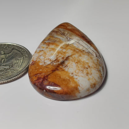Petrified Wood