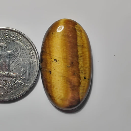 Tiger Eye