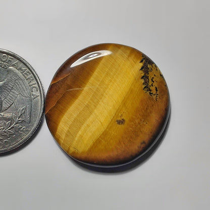 Tiger Eye