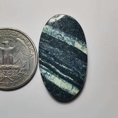 Zebra Jasper