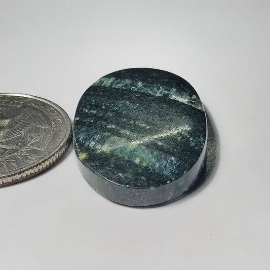 Zebra Jasper