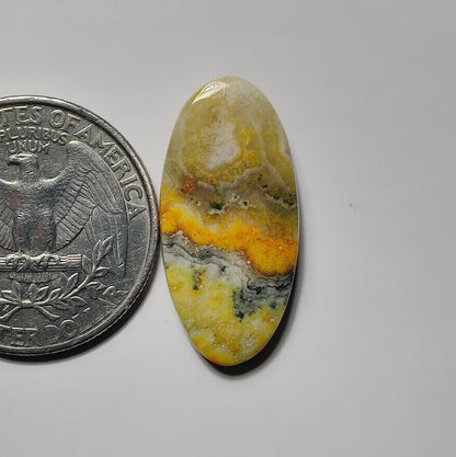 Bumble Bee Jasper
