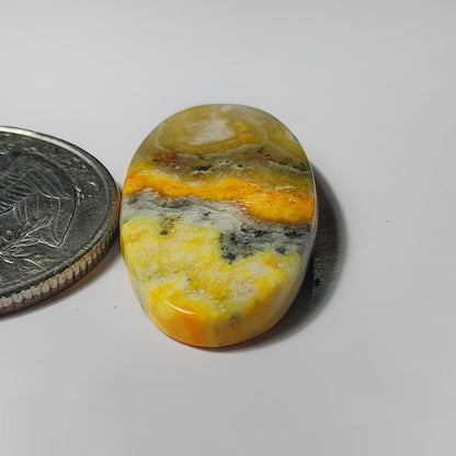 Bumble Bee Jasper