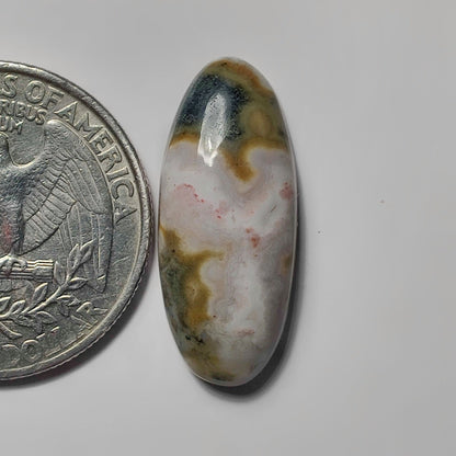 Ocean Jasper