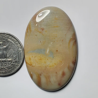 Polychrome Jasper