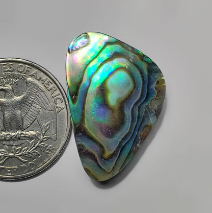 Abalone Stone