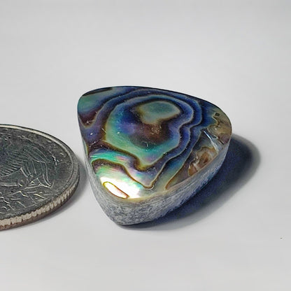 Abalone Stone