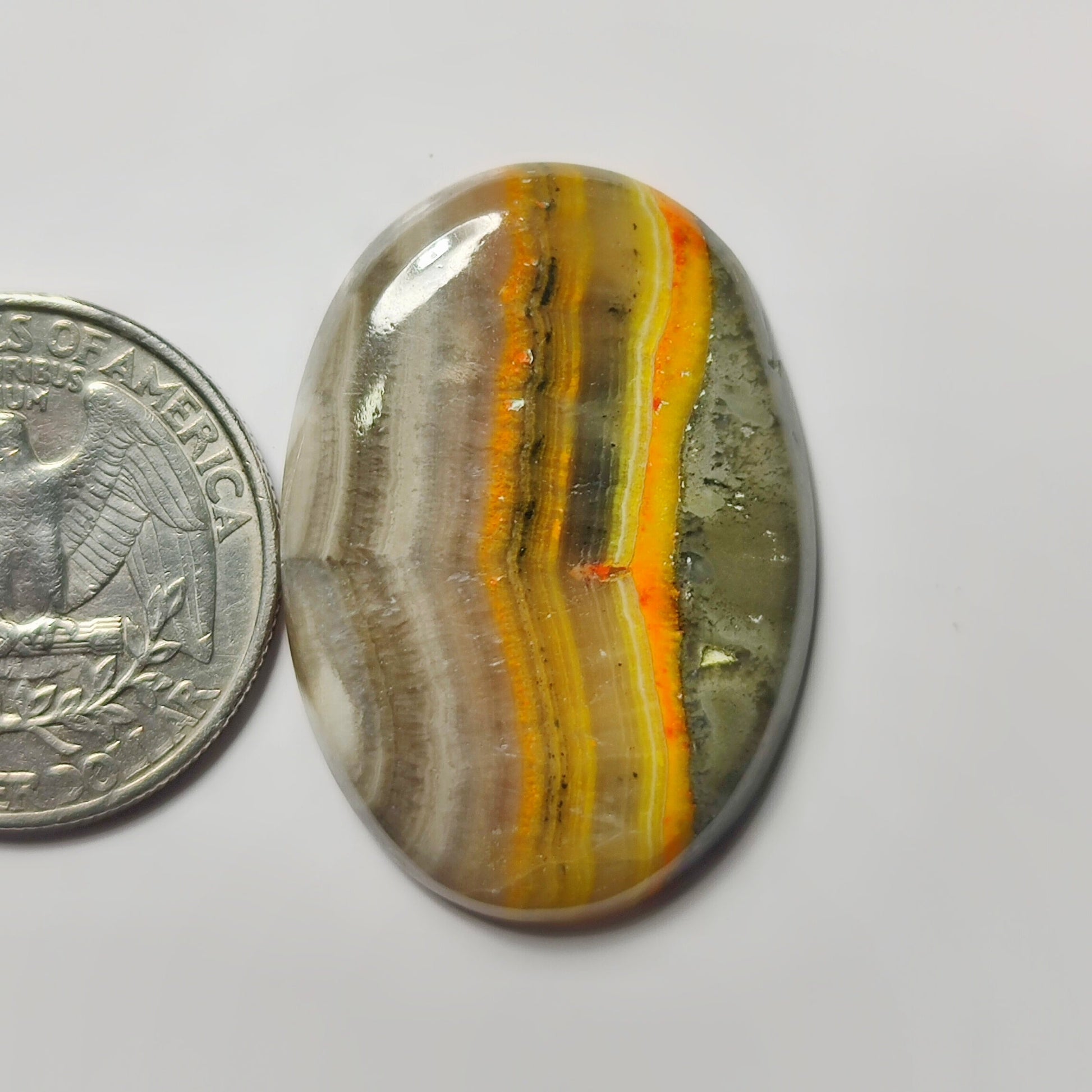 Bumble Bee Jasper