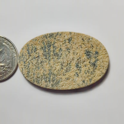 Psilomelane Dendrite