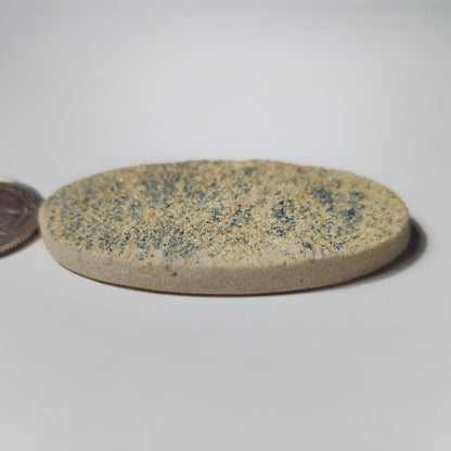 Psilomelane Dendrite