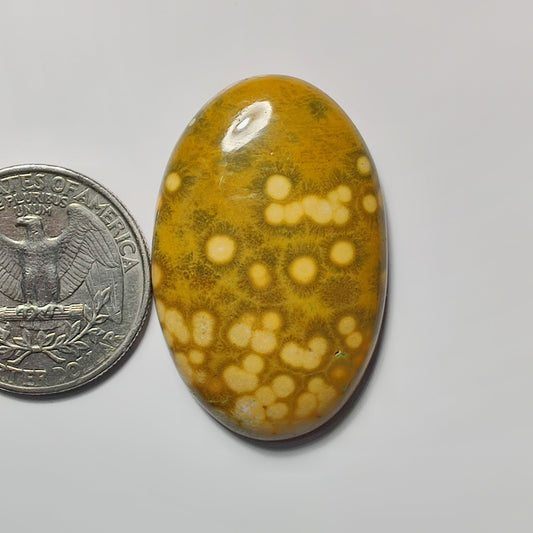 Yellow Dot Ocean jasper