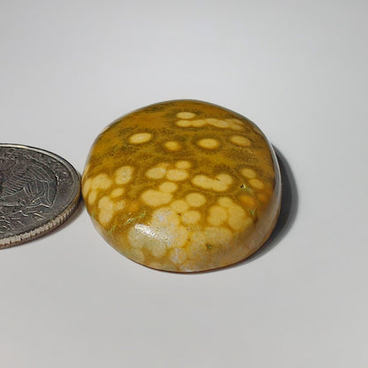 Yellow Dot Ocean jasper