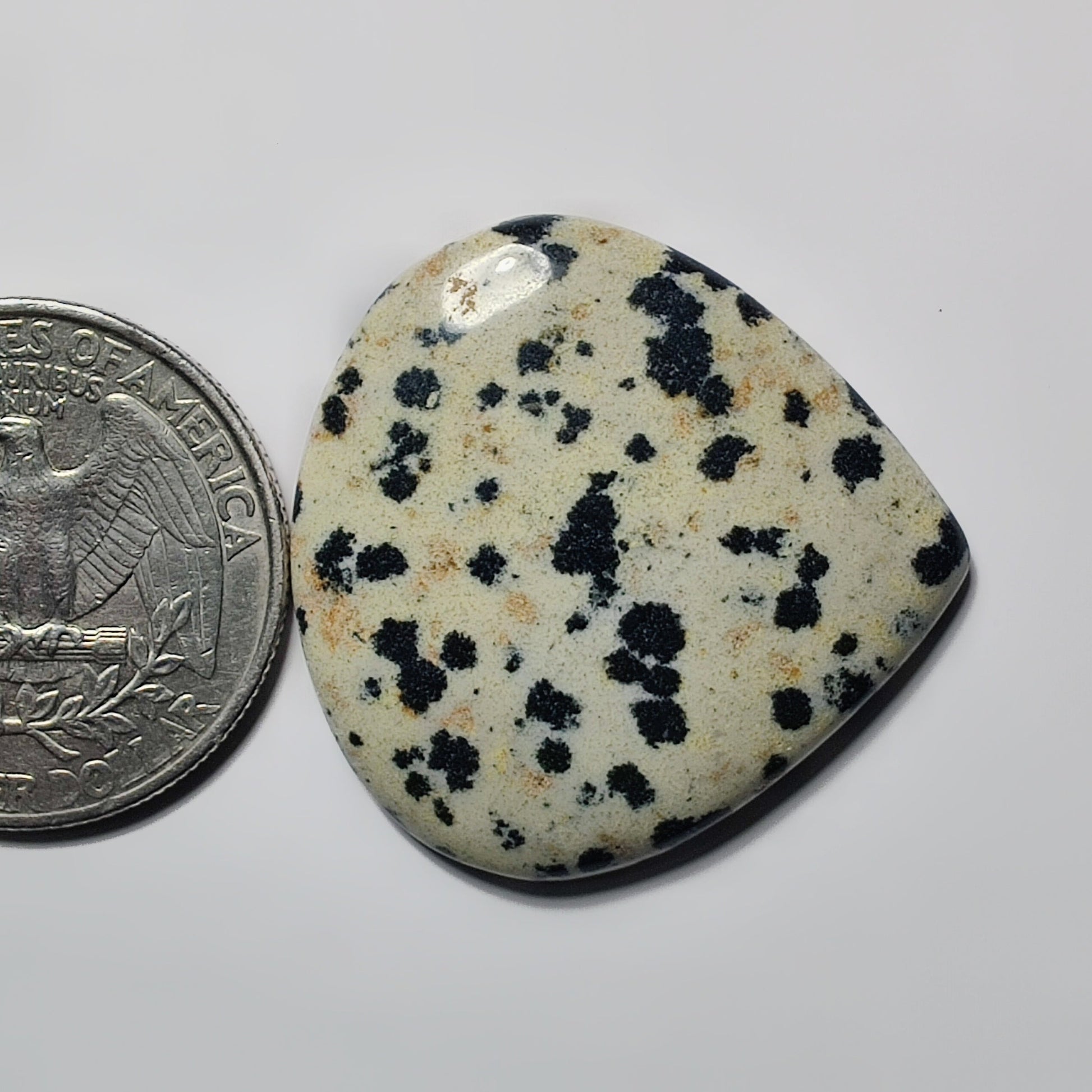 Dalmantion Jasper