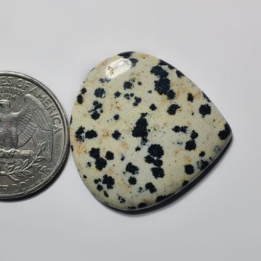 Dalmantion Jasper
