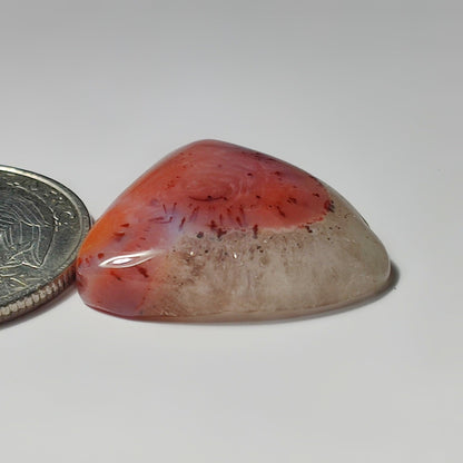 Botswana Agate