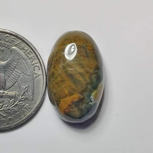 Ocean Jasper
