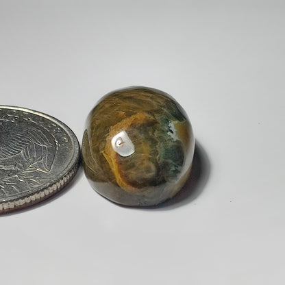 Ocean Jasper