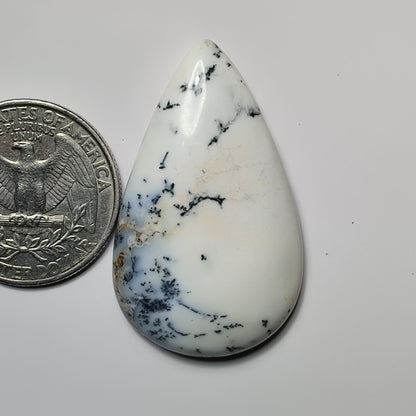 Dendritic Agate