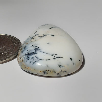 Dendritic Agate