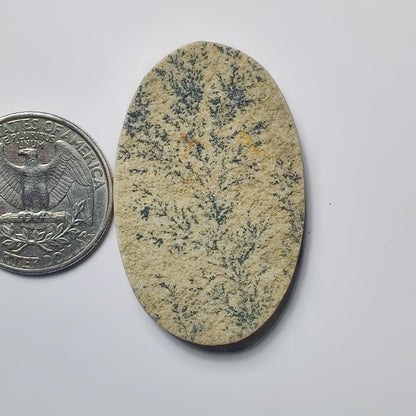 Psilomelane Dendrite