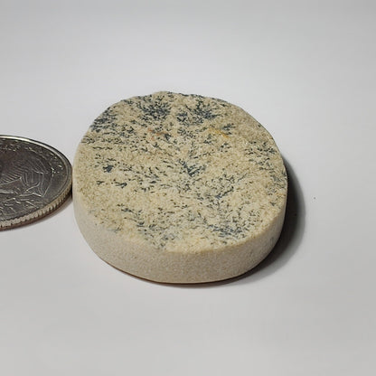 Psilomelane Dendrite