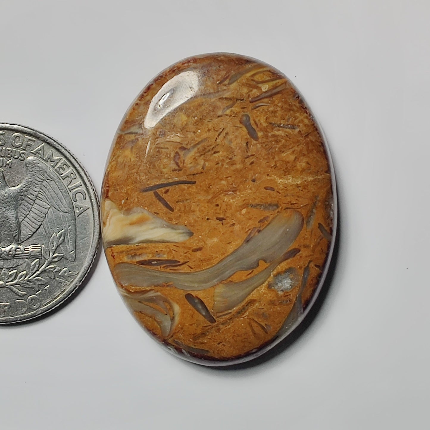 Mariyam Jasper
