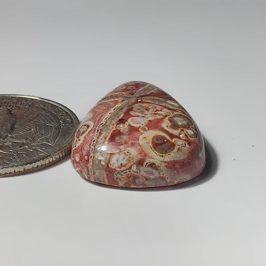 Leopard Skin Jasper