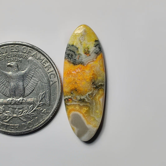 Bumble Bee Jasper