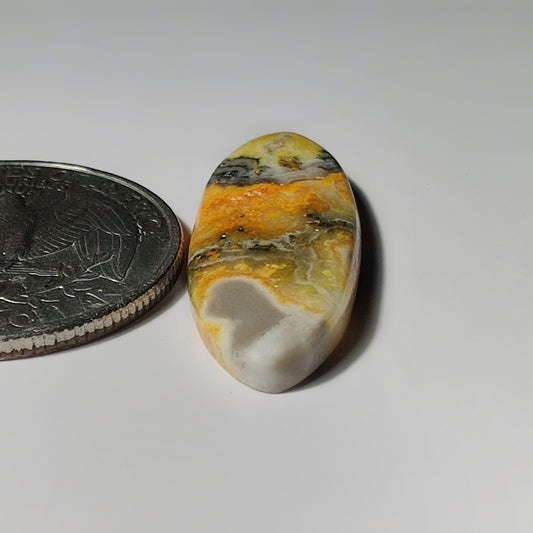 Bumble Bee Jasper