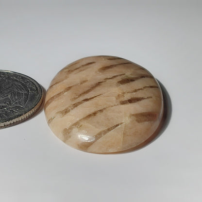 Zebra Feldspar