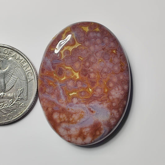 Ocean Jasper