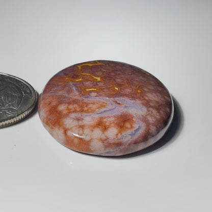 Ocean Jasper