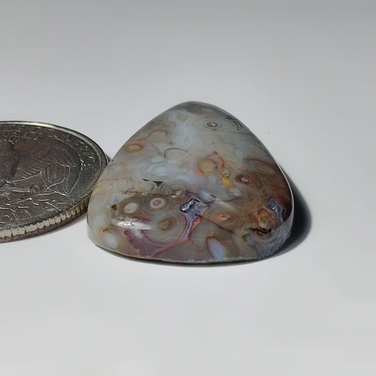 Palm Root Agate
