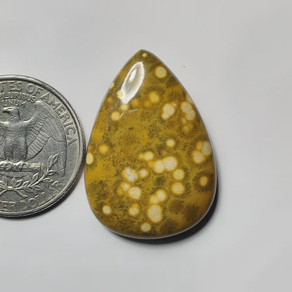 Ocean Jasper