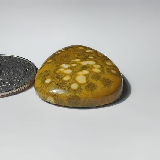 Ocean Jasper
