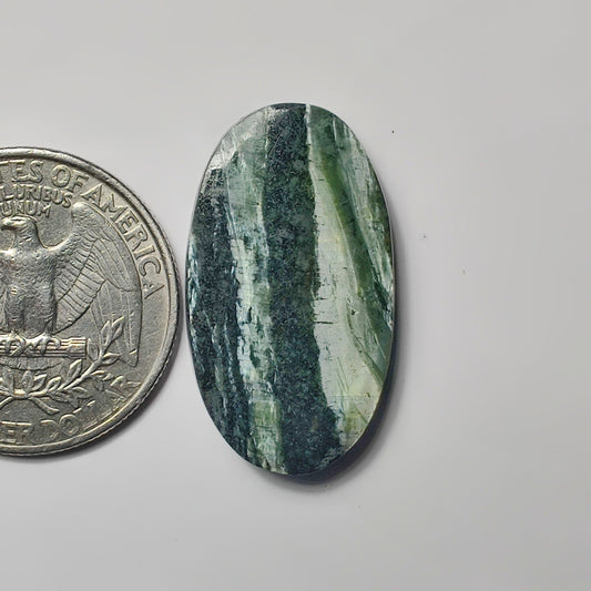 Zebra Jasper