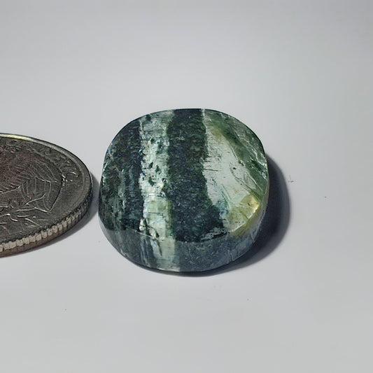 Zebra Jasper