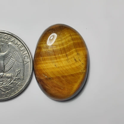 Tiger Eye
