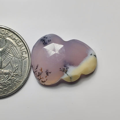 Rose Cut Dendiritc Agate