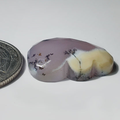 Rose Cut Dendiritc Agate