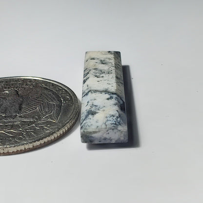 Dendritic Agate