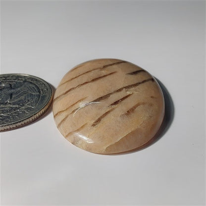 Zebra Feldspar gemstone cabochon - natural crystal healing stone for jewelry making by SemiPreciousCabs