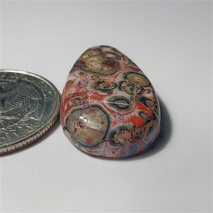 Leopard Skin Jasper gemstone cabochon - natural crystal healing stone for jewelry making by SemiPreciousCabs